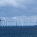 Eight States Sue Trump Administration Over Offshore Wind Lease Buyouts